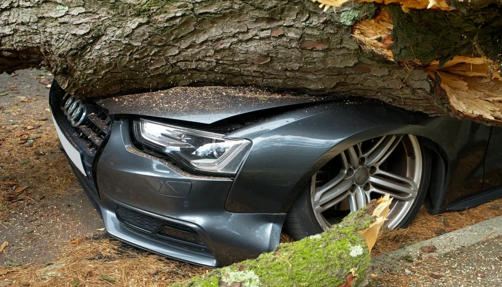 pexels-mikebirdy-5351114-ezgif.com-jpg-to-webp-converter Affordable car insurance coverage in Illinois